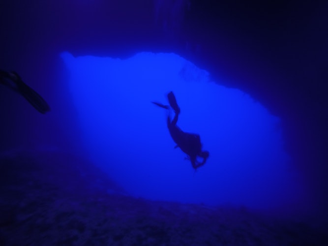 free diving